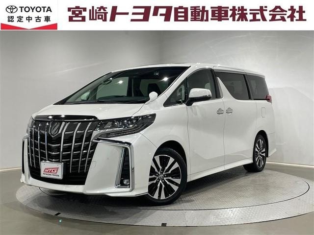 Toyota ALPHARD 2022 — фото автомобиля