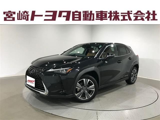 Lexus UX 2021 — фото автомобиля