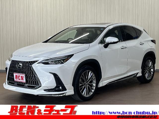 Lexus NX 2023 — фото автомобиля