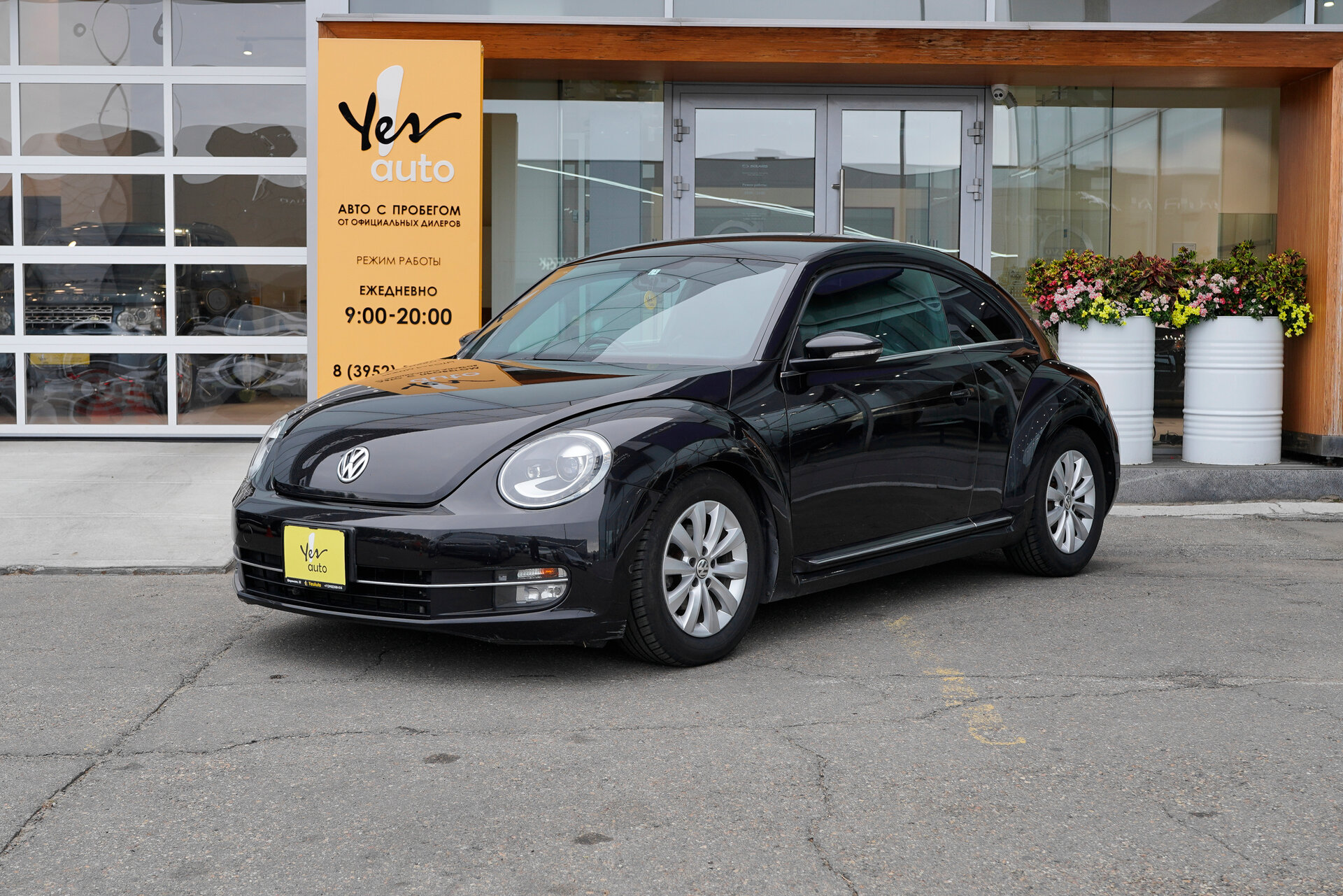 Volkswagen Beetle